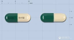 판시딜캡슐