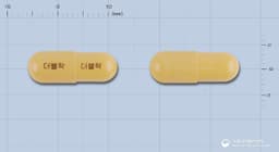 더블락캡슐