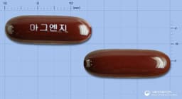 마그엔지연질캡슐